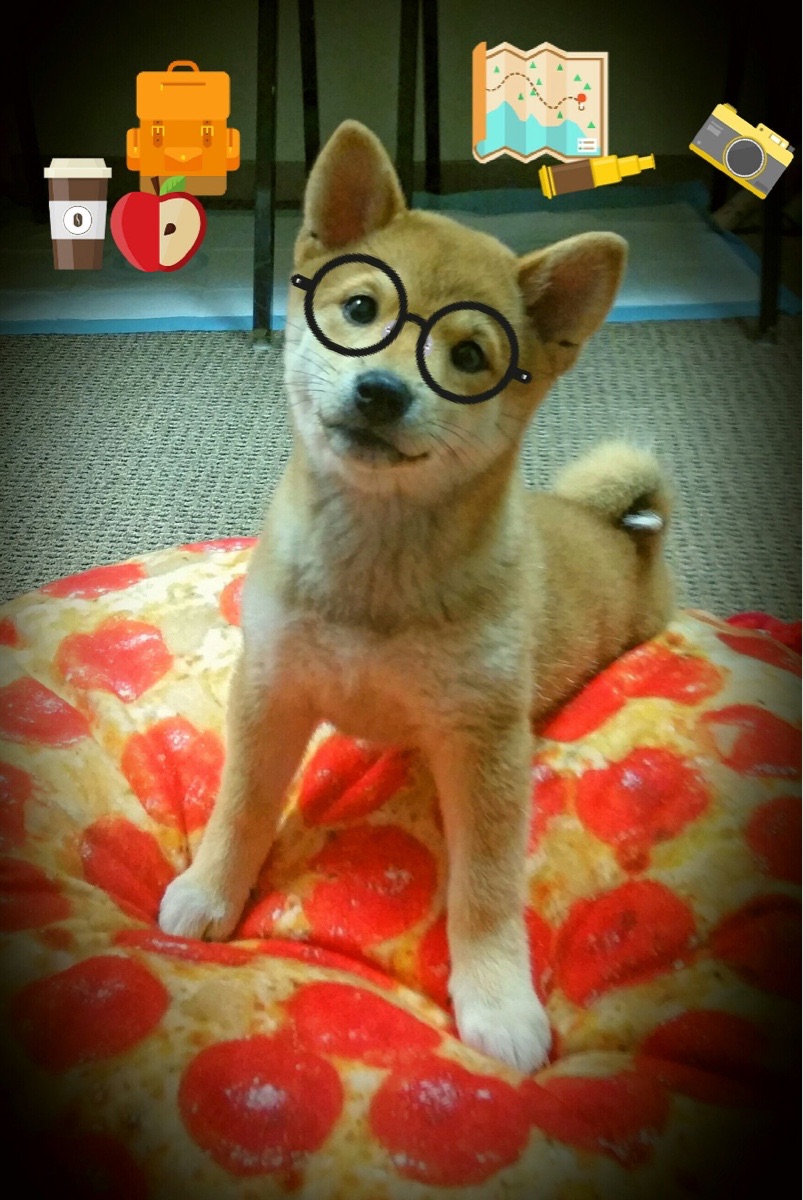 巴西节奏驯服巴斯克雄狮,厄德高如何成为枪手的心脏