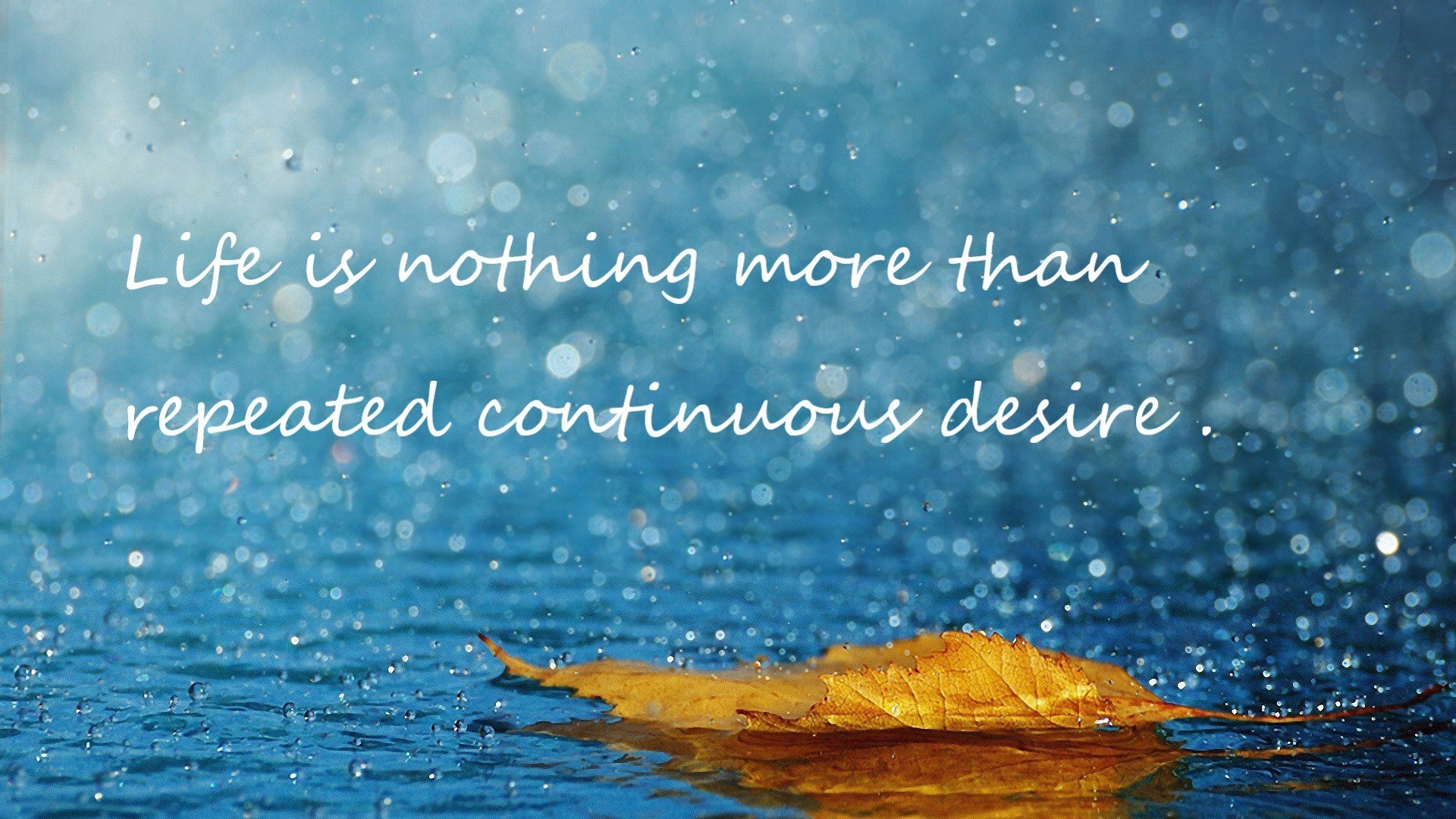 绿茵场上的双重启示,国际米兰的体系压制与伊布的天才接管